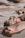 A group of hippos partially submerged in water, with most of their bodies underwater and only their heads and backs visible. The water appears murky and brownish in color, and the hippos are close together, showing a sense of togetherness and calmness.