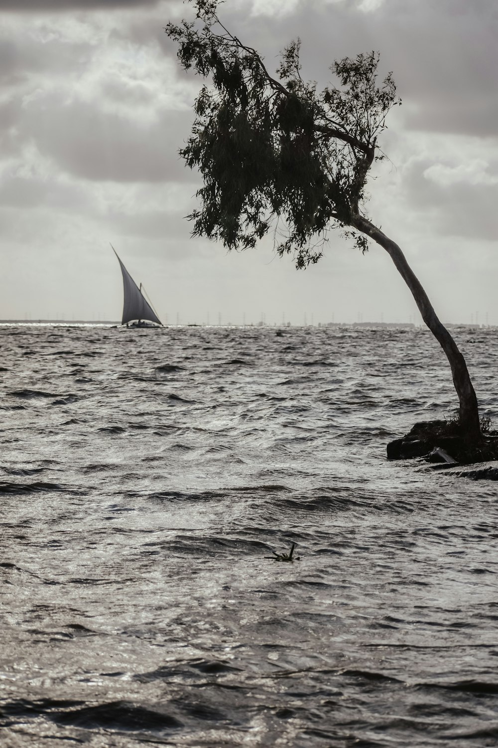 a lone sailboat in the ocean near a tree