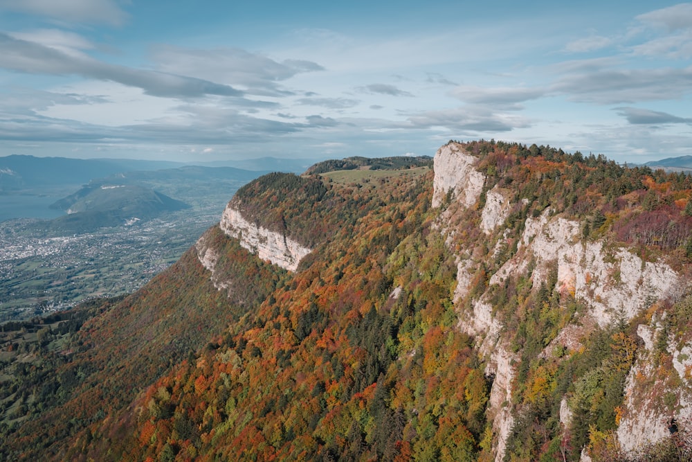 a scenic view of a mountain with trees on the side of it