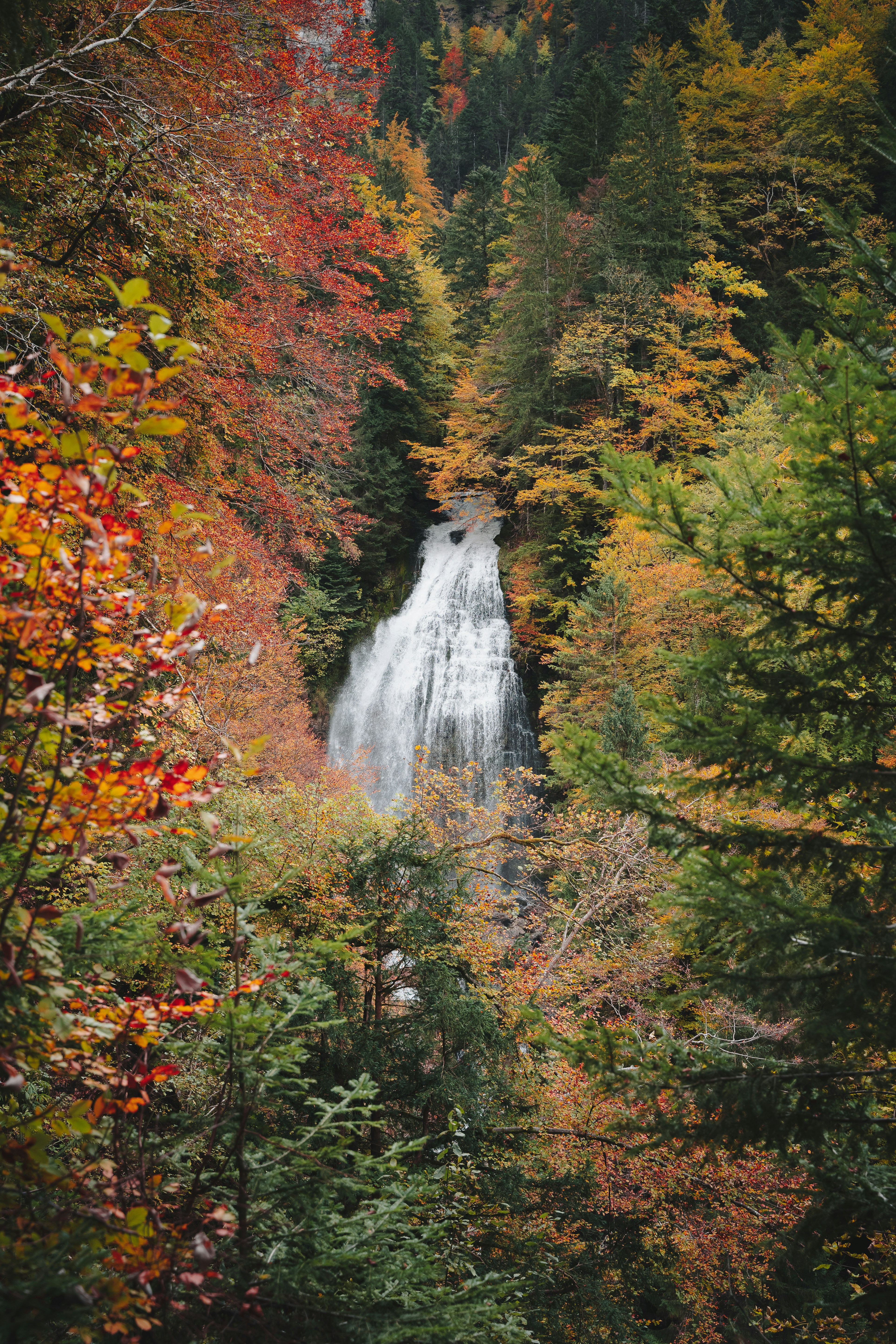 a waterfall surrounded by trees in a forest