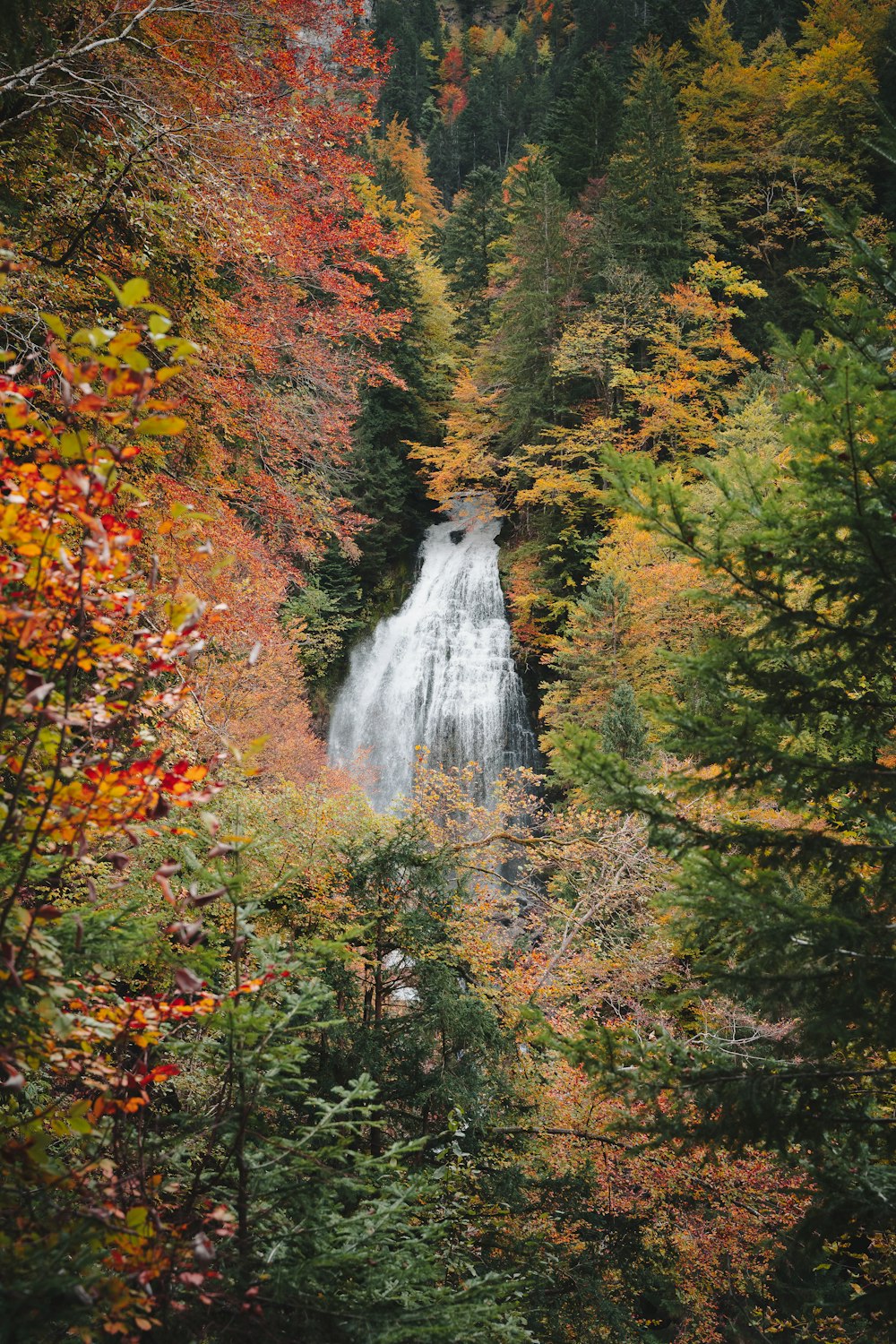 a waterfall surrounded by trees in a forest
