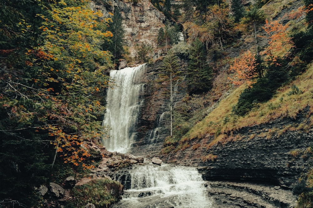 a waterfall in the middle of a forest