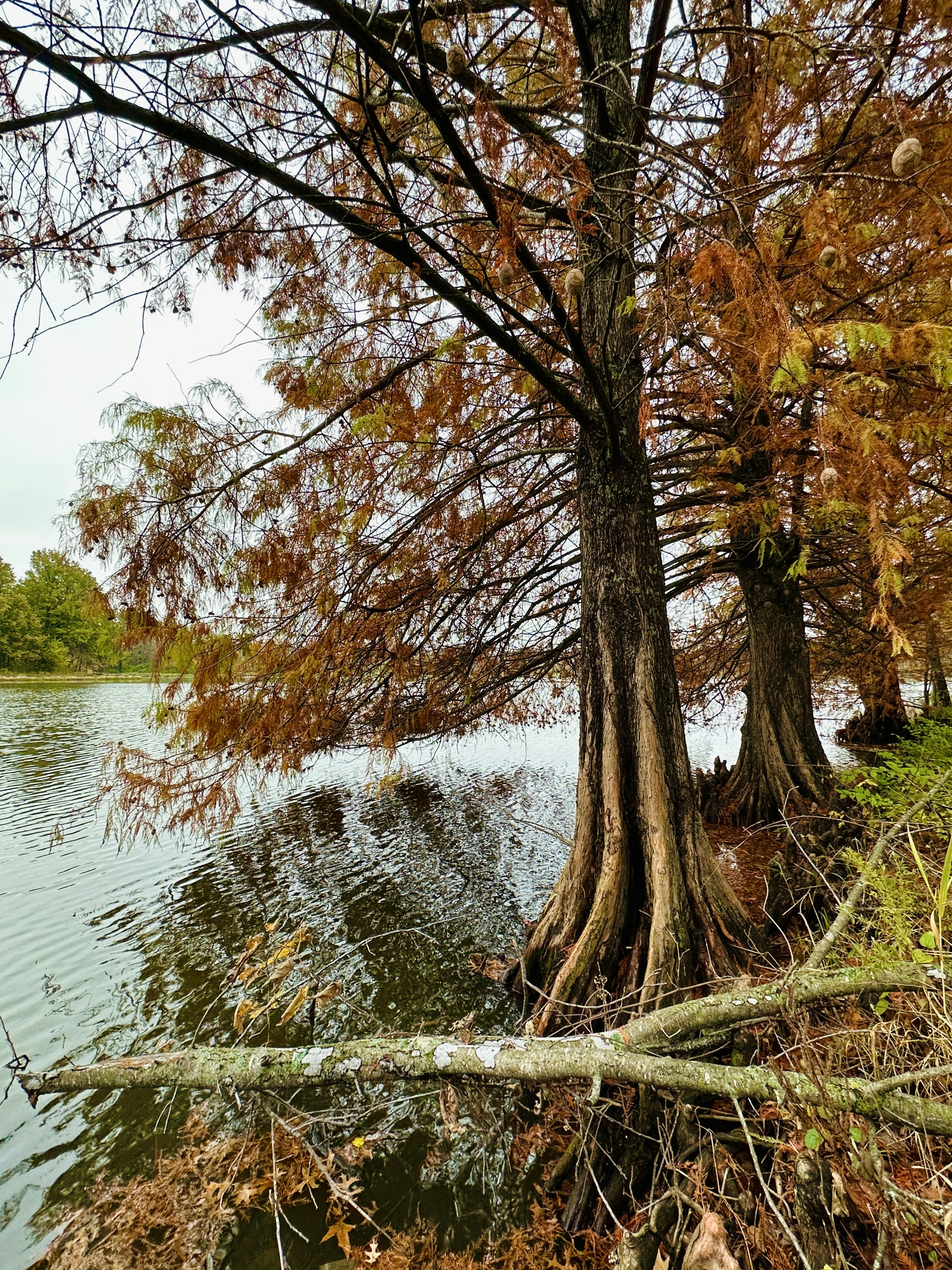 Photo by hannahslensphotography