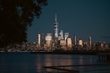 a view of a city skyline at night