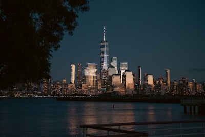 a view of a city skyline at night