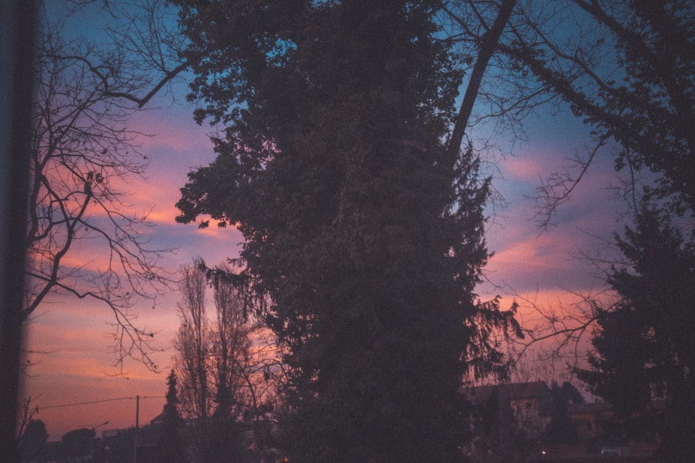 a view of a sunset through some trees