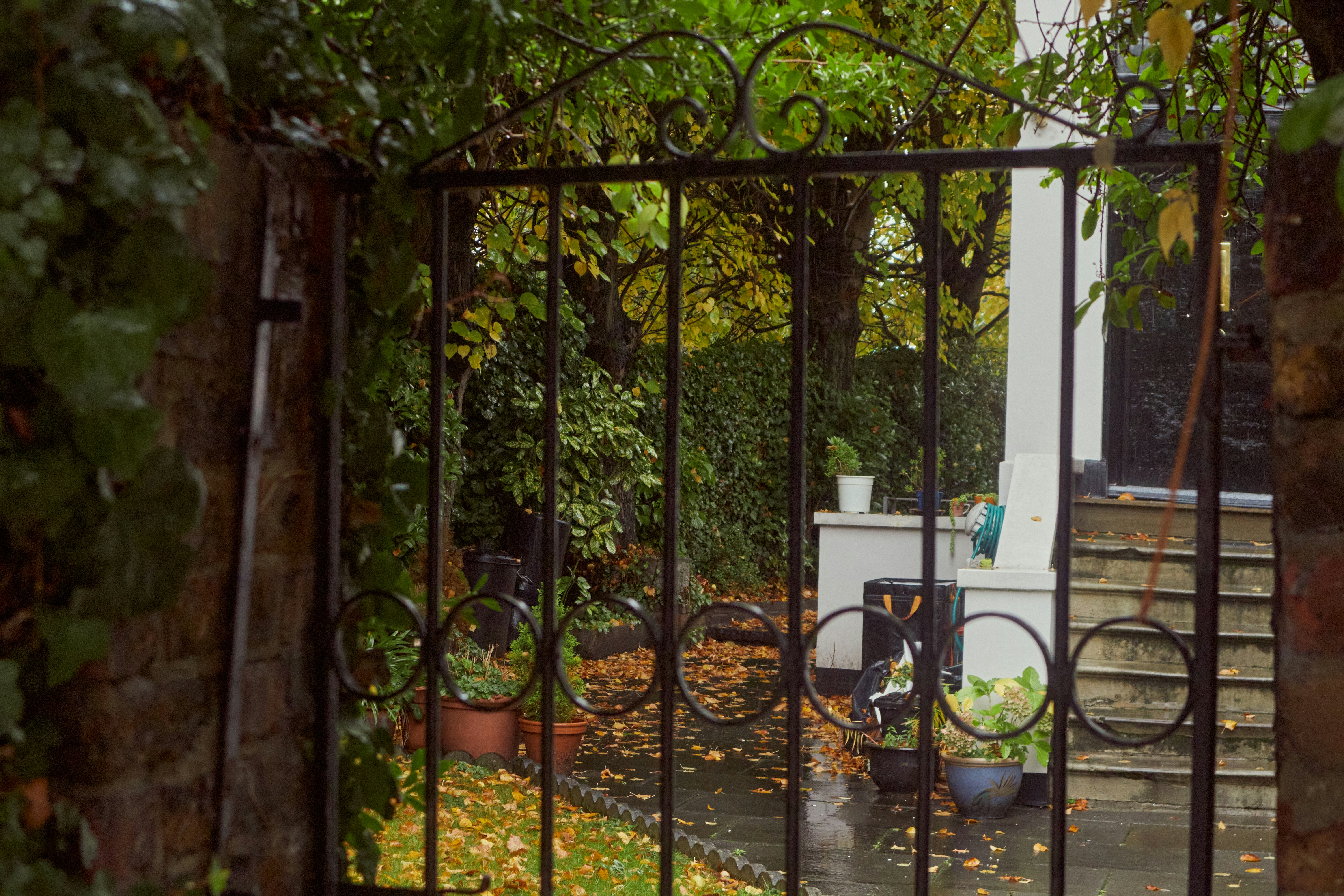 Photo by romanakash27