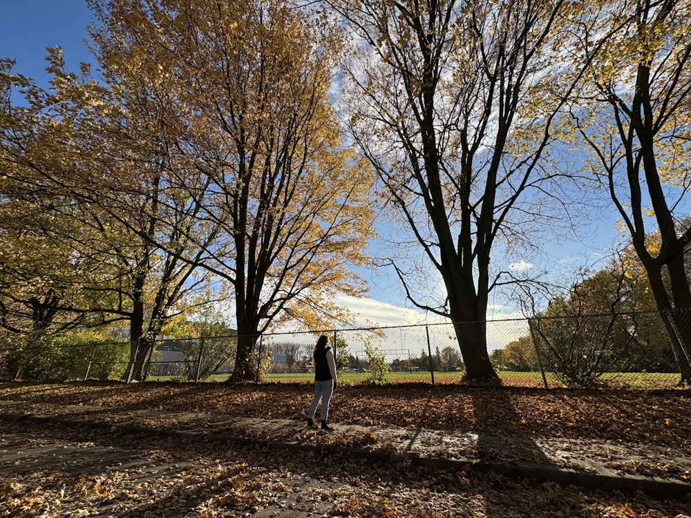 a person standing in the middle of a leaf covered park