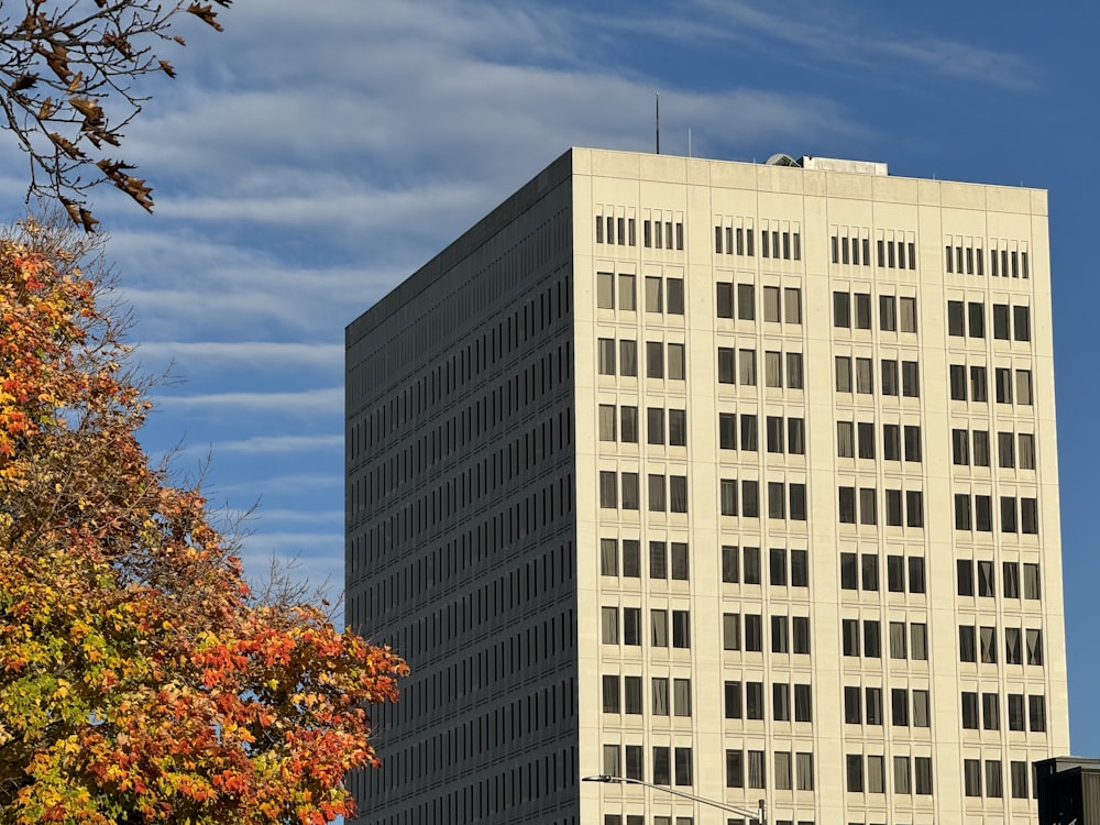 a tall white building sitting next to a tree