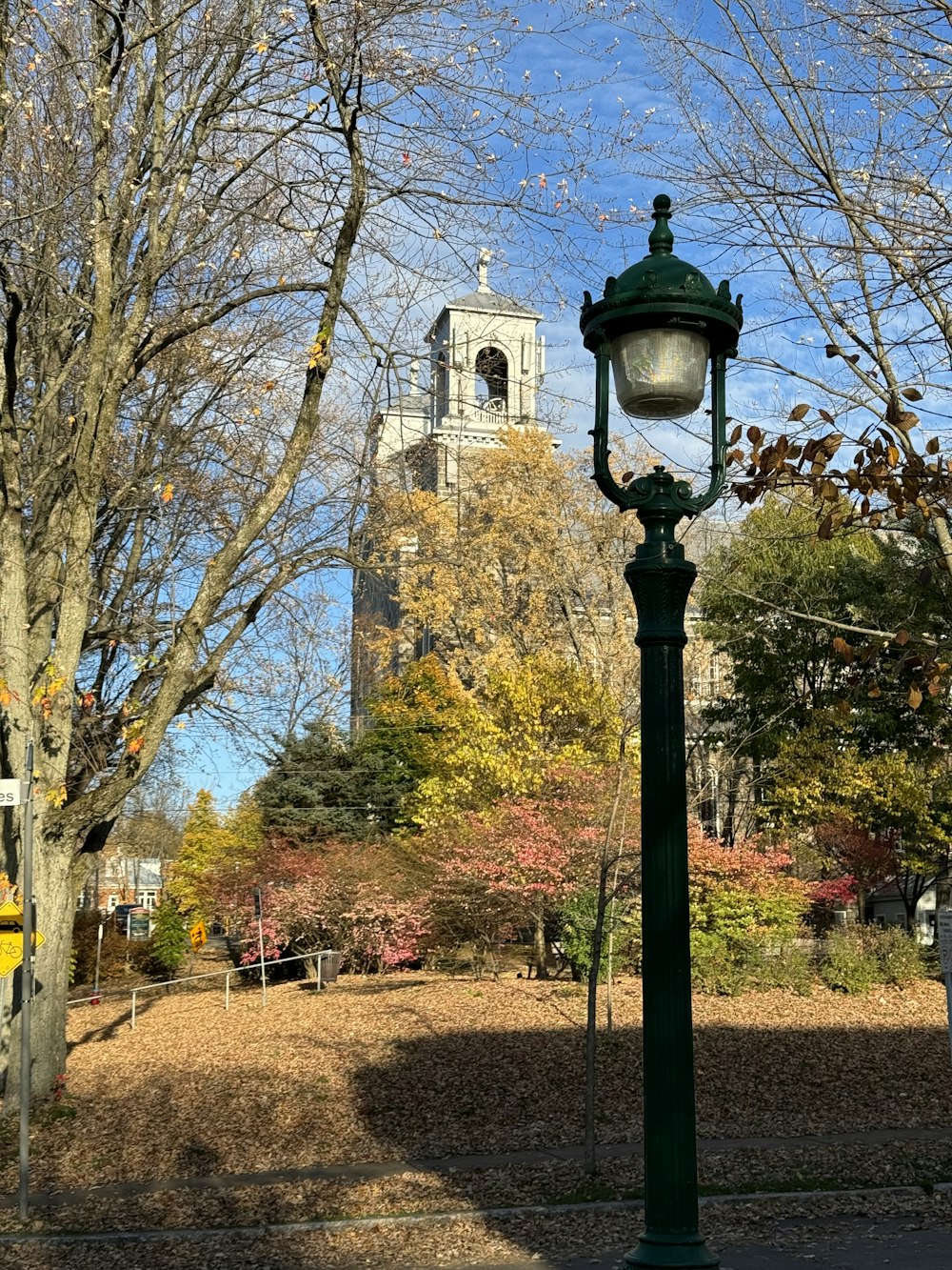 a lamp post in a park with a clock tower in the background