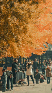 Students gathered outdoors under a canopy of orange and red leaves, exploring nature.