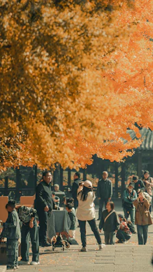 A group of students posing outdoors with autumn leaves around them