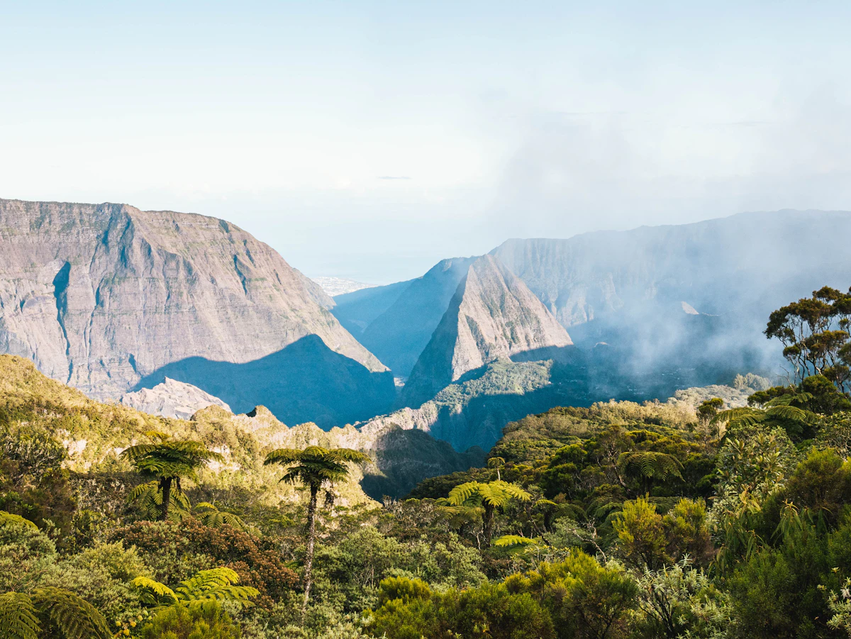 Tree ferns in the foreground and the cliffs of the Cirque de Mafate behind, with cloud in the valleys