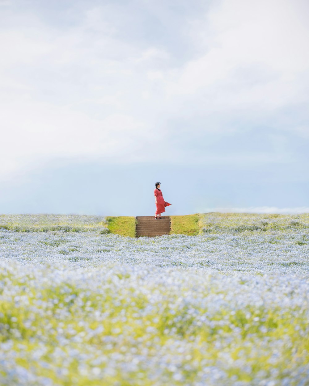 a woman in a red dress standing on a box in a field