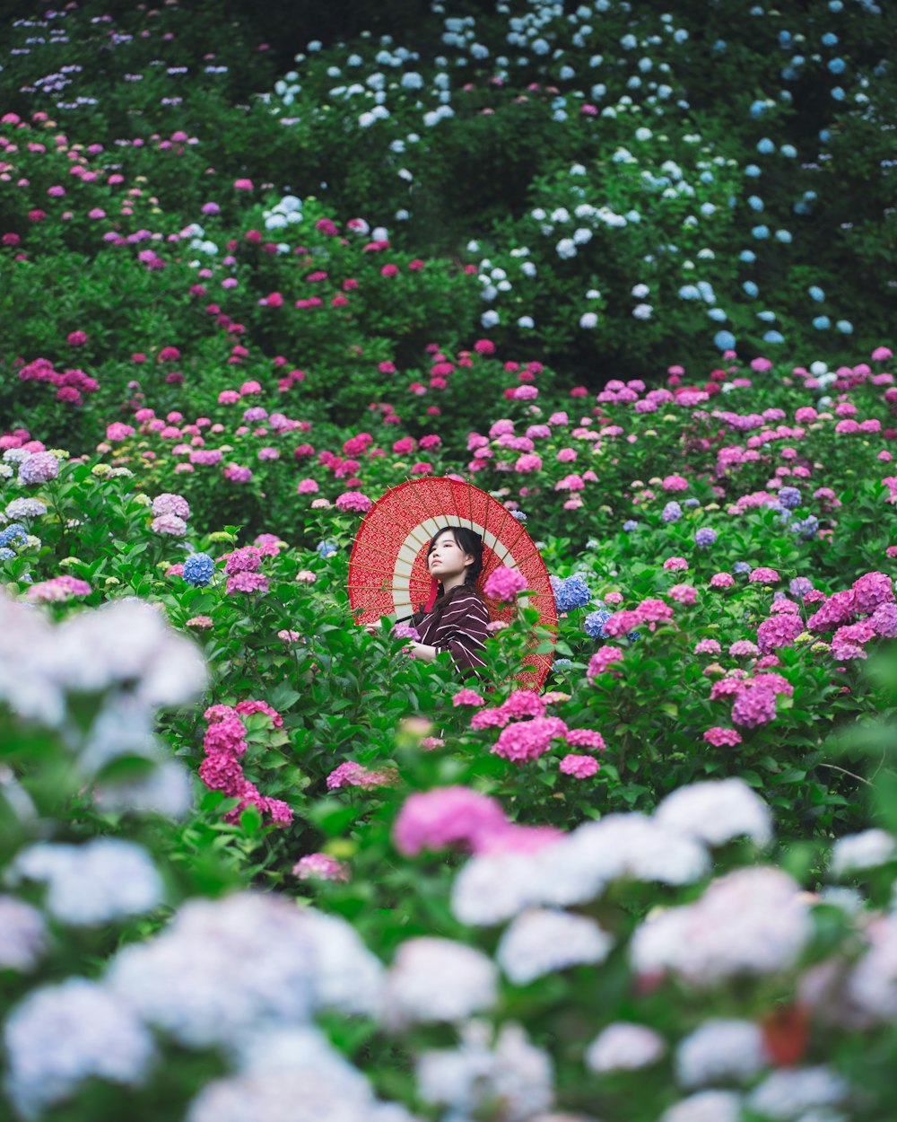 eine Frau in einem Blumenfeld mit einem Regenschirm in der Hand