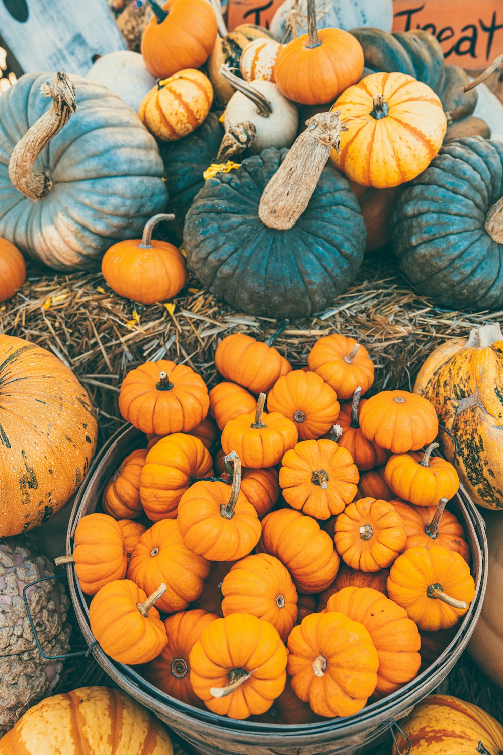 a pile of pumpkins sitting on top of a pile of hay