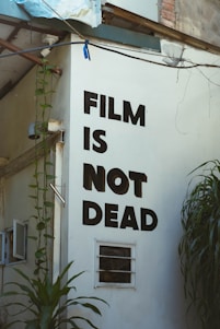 The side of a building features bold black text stating 'FILM IS NOT DEAD'. Climbing plants with green leaves grow up the wall, and there is a small, barred window near the bottom. The area appears somewhat industrial, with wires and fittings visible around the structure.