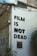 The side of a building features bold black text stating 'FILM IS NOT DEAD'. Climbing plants with green leaves grow up the wall, and there is a small, barred window near the bottom. The area appears somewhat industrial, with wires and fittings visible around the structure.