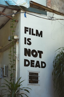 The side of a building features bold black text stating 'FILM IS NOT DEAD'. Climbing plants with green leaves grow up the wall, and there is a small, barred window near the bottom. The area appears somewhat industrial, with wires and fittings visible around the structure.