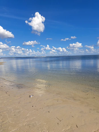 A serene beach scene with a cloudy sky casting cool blue tones, reflecting calm and focus.
