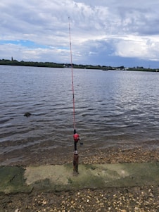 A peaceful suburban lake at sunrise with a fishing rod resting on the shore.
