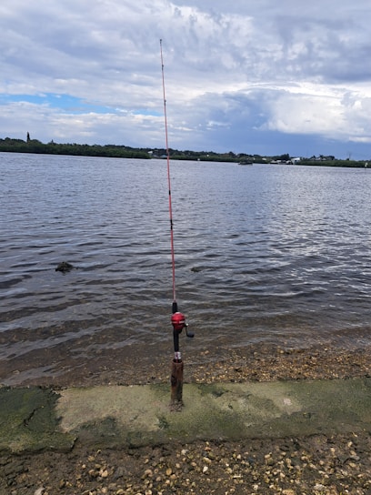 A peaceful suburban lake at sunrise with a fishing rod resting on the shore.