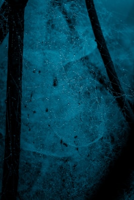 A close-up view of a spider web covered in dew drops, set against a dark, moody background. The web is intricately woven, with tiny droplets of water clinging to its delicate threads.