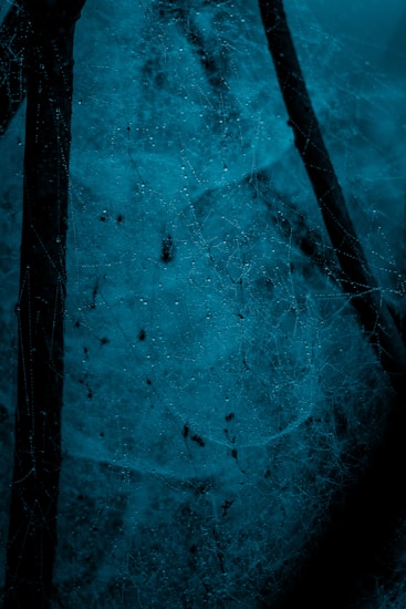 A close-up view of a spider web covered in dew drops, set against a dark, moody background. The web is intricately woven, with tiny droplets of water clinging to its delicate threads.