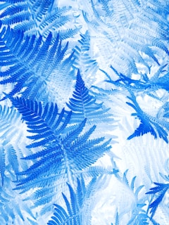 A serene cyanotype print of delicate leaves against a deep blue background.