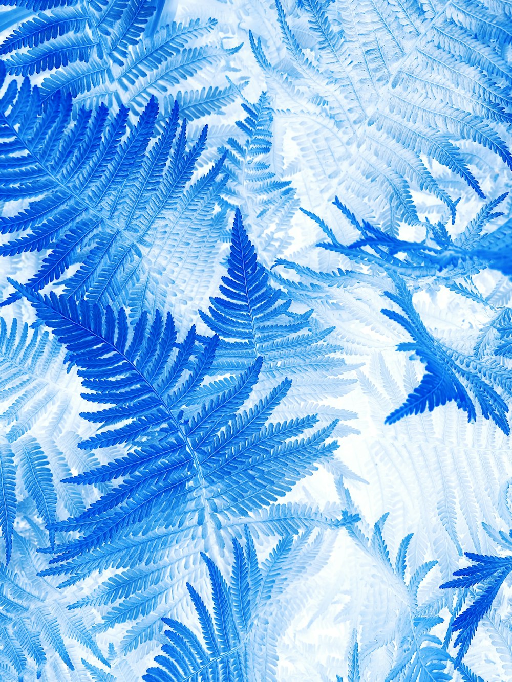 a blue and white pattern of leaves