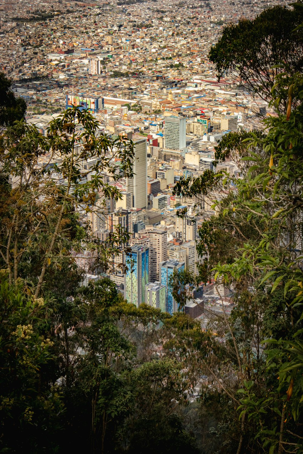 a view of a city from the top of a hill