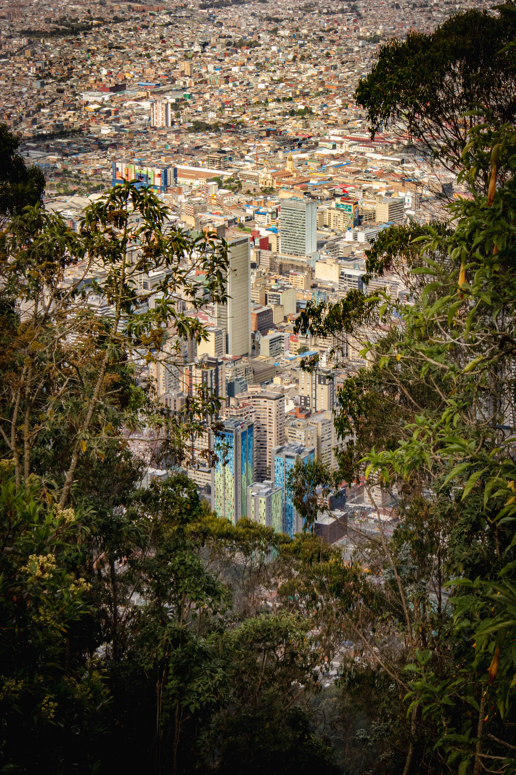 Vista de Bogotá desde un cerro