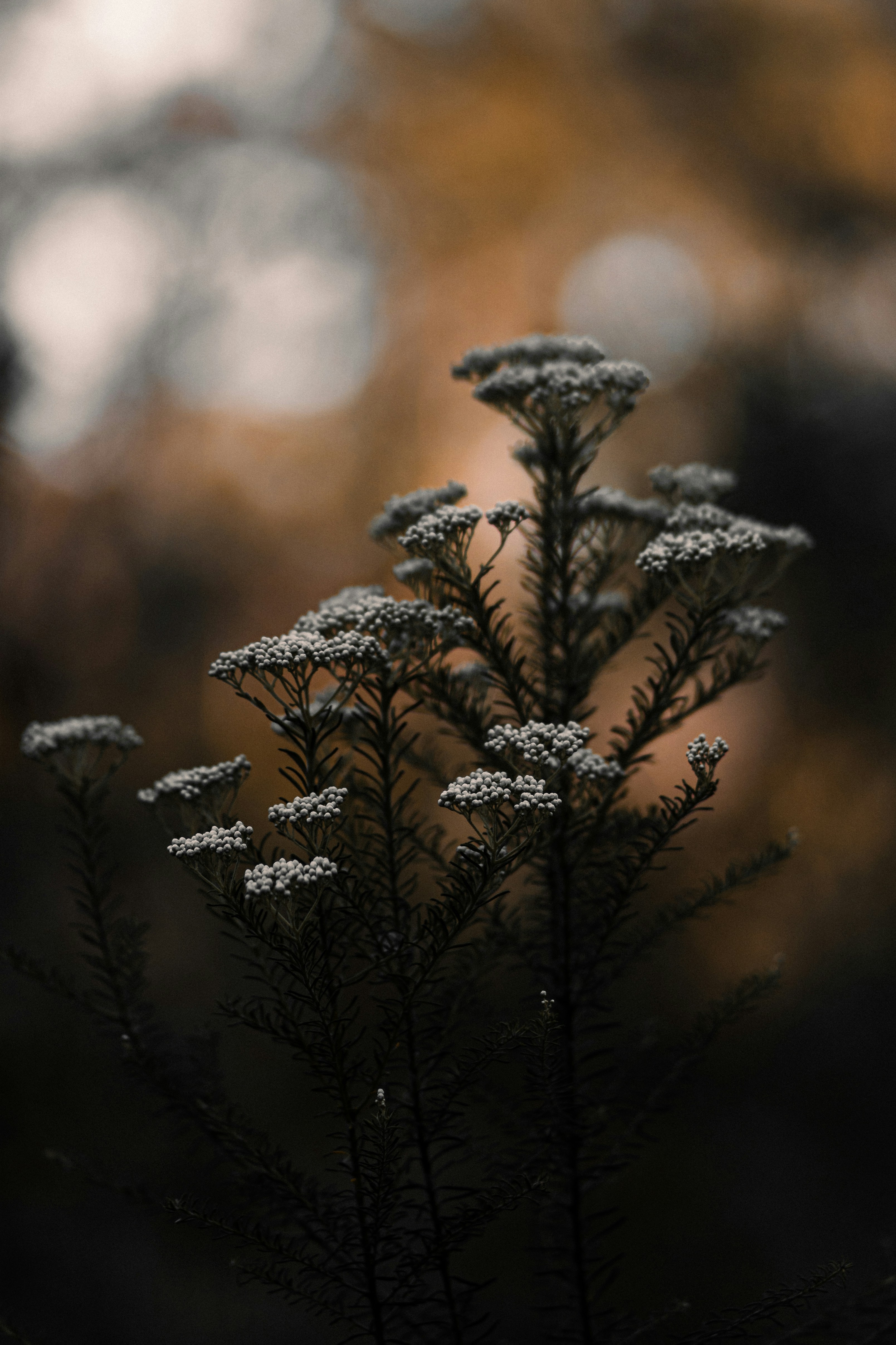 Photo by maharfaizan