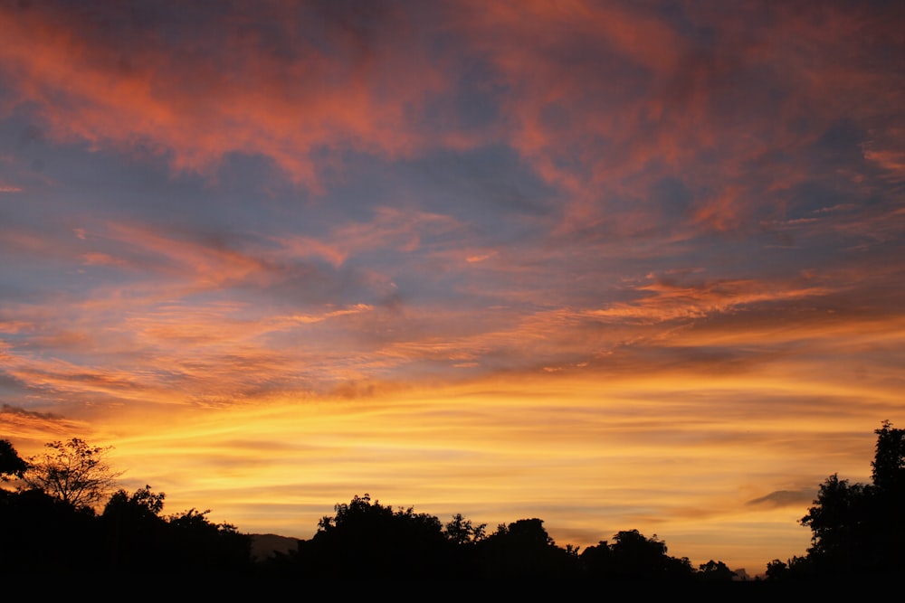 a sunset with clouds in the sky and trees in the foreground