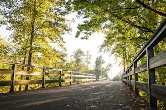 a wooden bench sitting on the side of a road