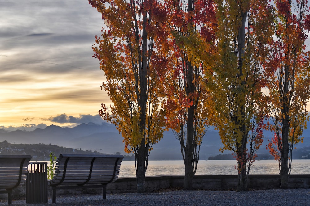 a row of park benches sitting next to a lake