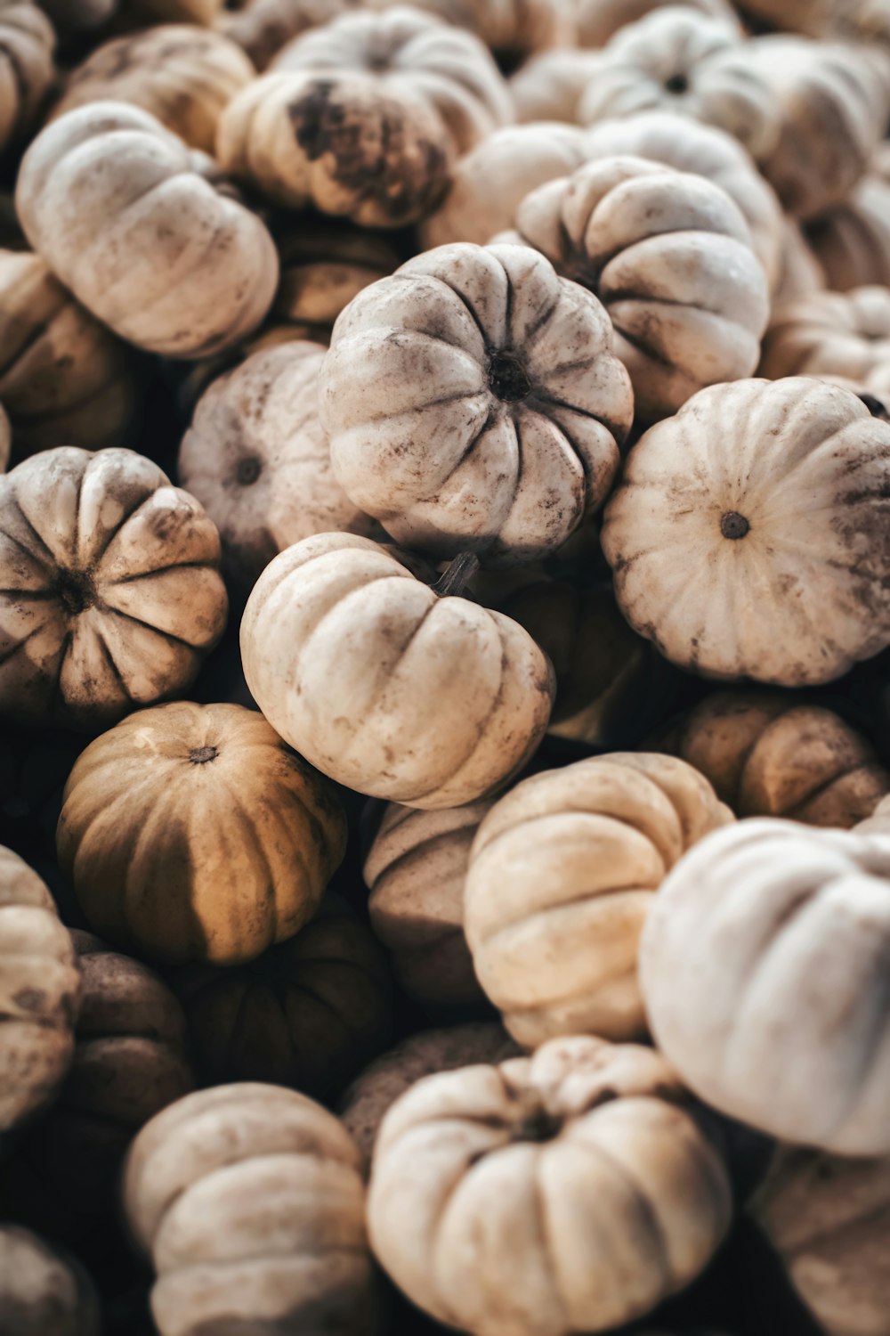 a close up of a bunch of pumpkins