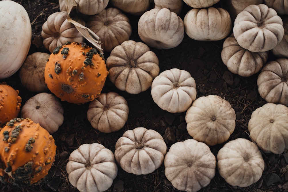 a bunch of pumpkins that are on the ground