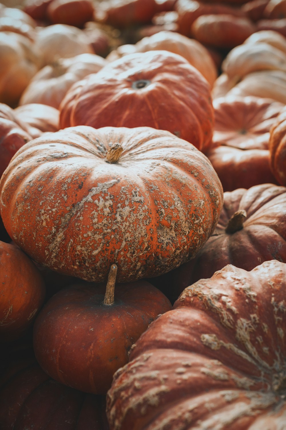 a pile of pumpkins sitting on top of each other