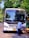 A man wearing a blue shirt is standing next to a parked white bus with visible wear near the front bumper. The bus is stopped on the side of a tree-lined street, and the man appears to be cleaning or inspecting the front. Sunlight filters through the lush green trees, casting shadows on the road.