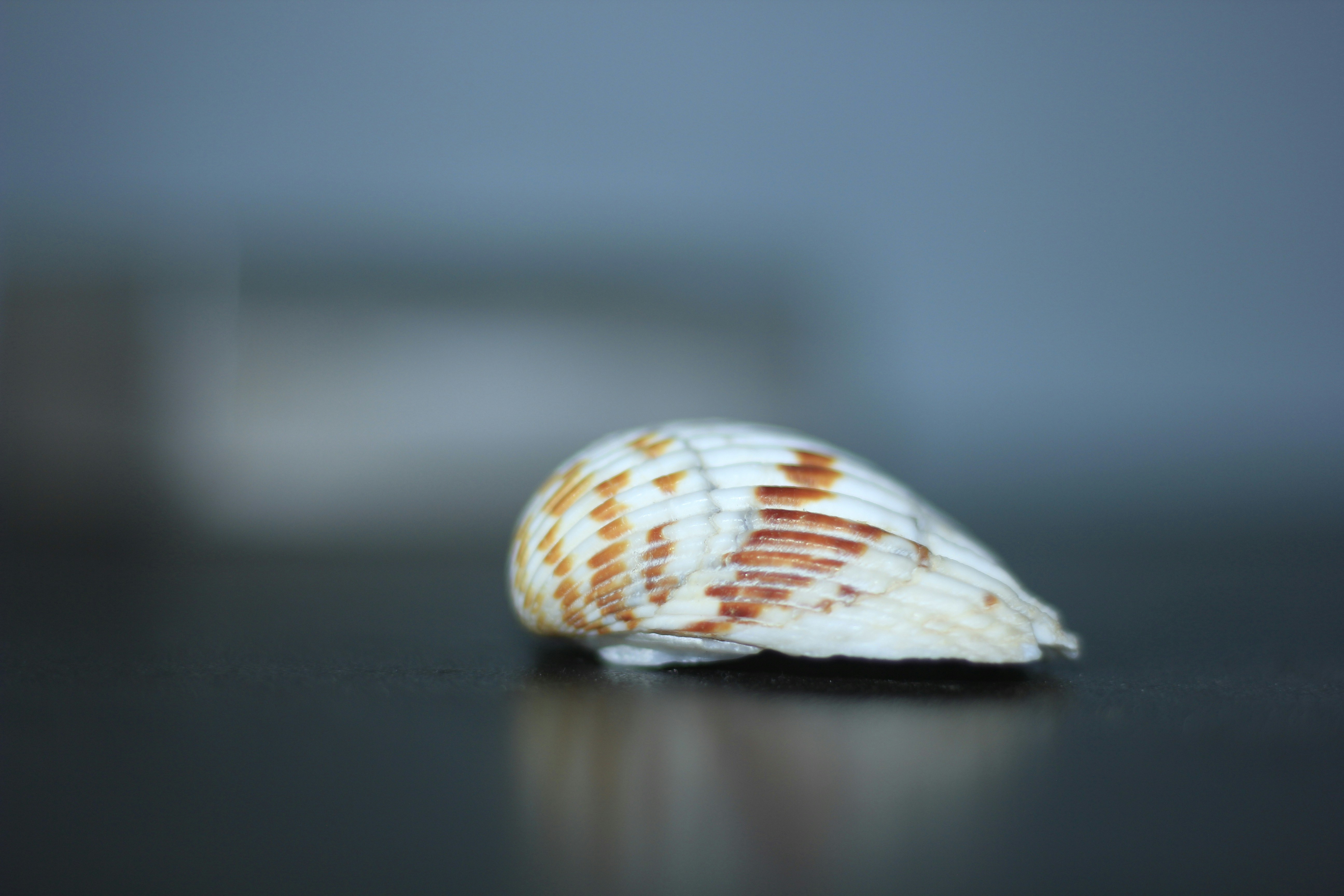 Photo by am_stardust