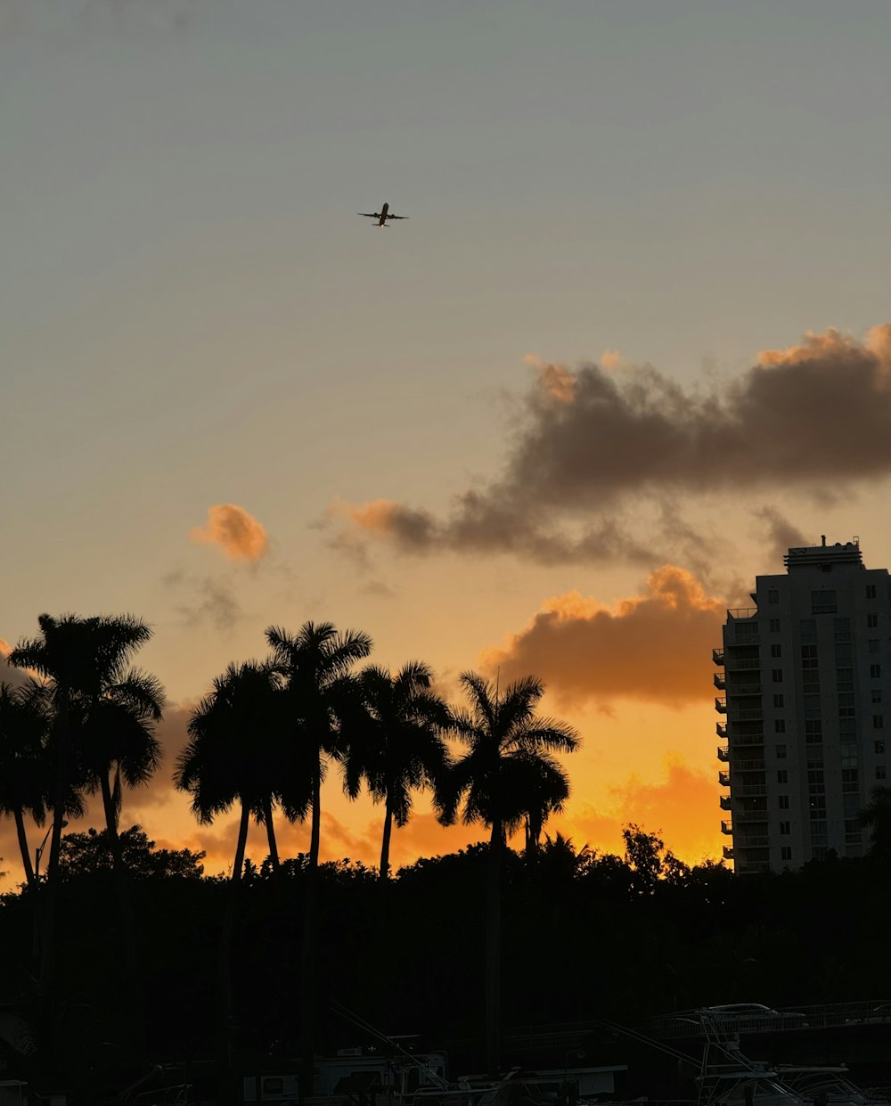 a plane flying in the sky with palm trees in the foreground