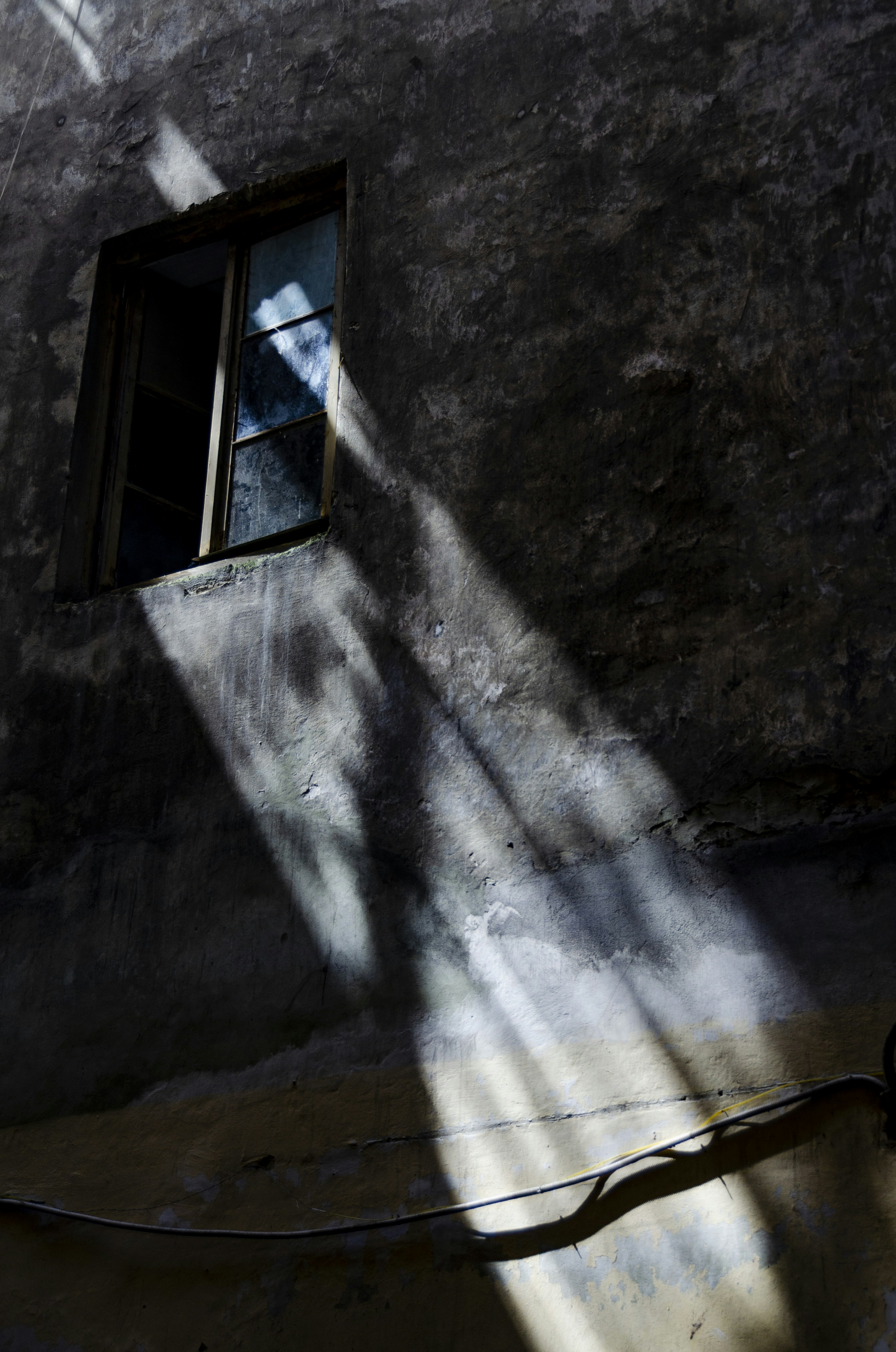 Photo by algrey