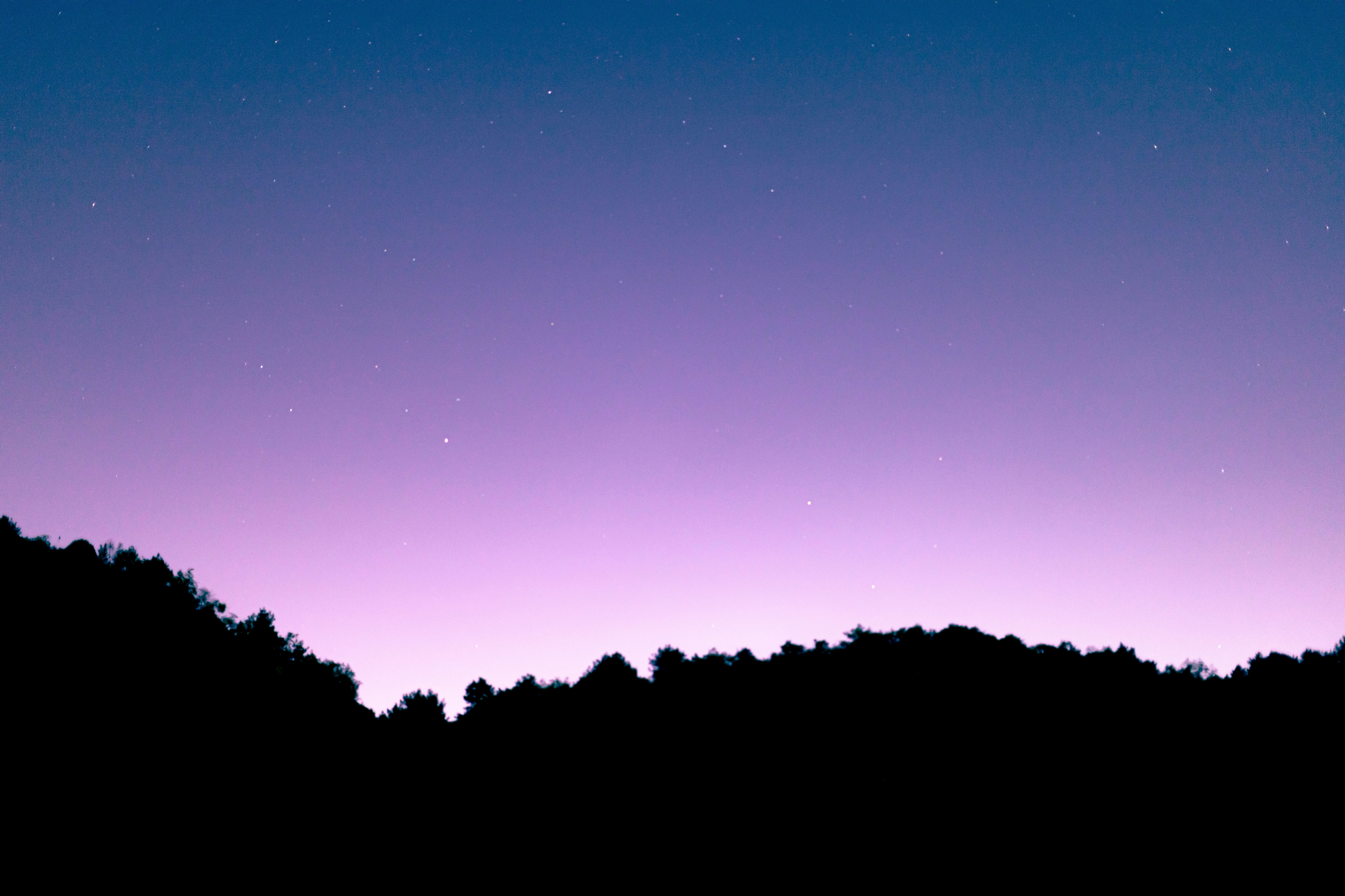 Photo by yokonoito0512