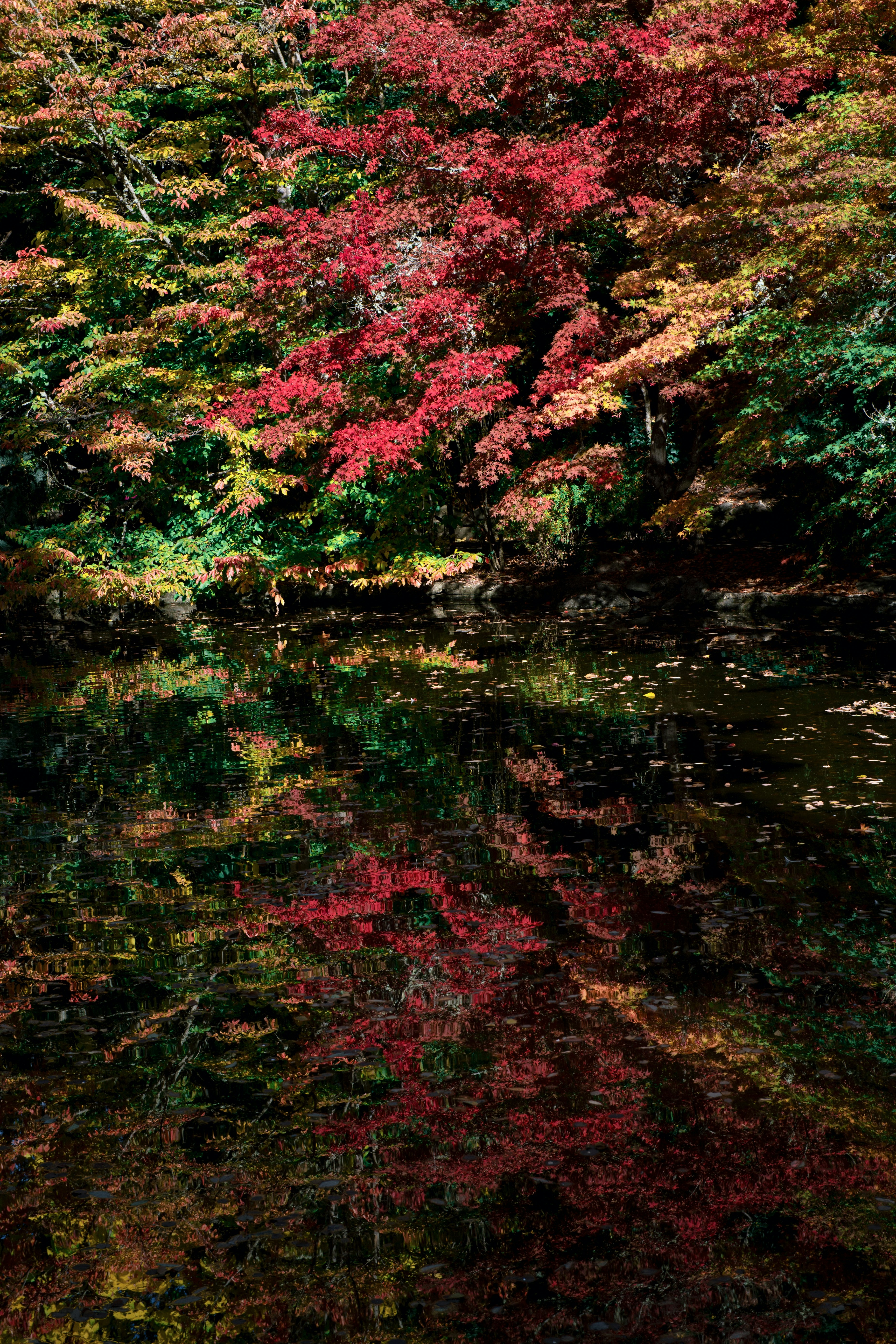 Photo by timmossholder