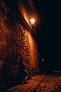 A vintage street lamp illuminating a cobblestone street.