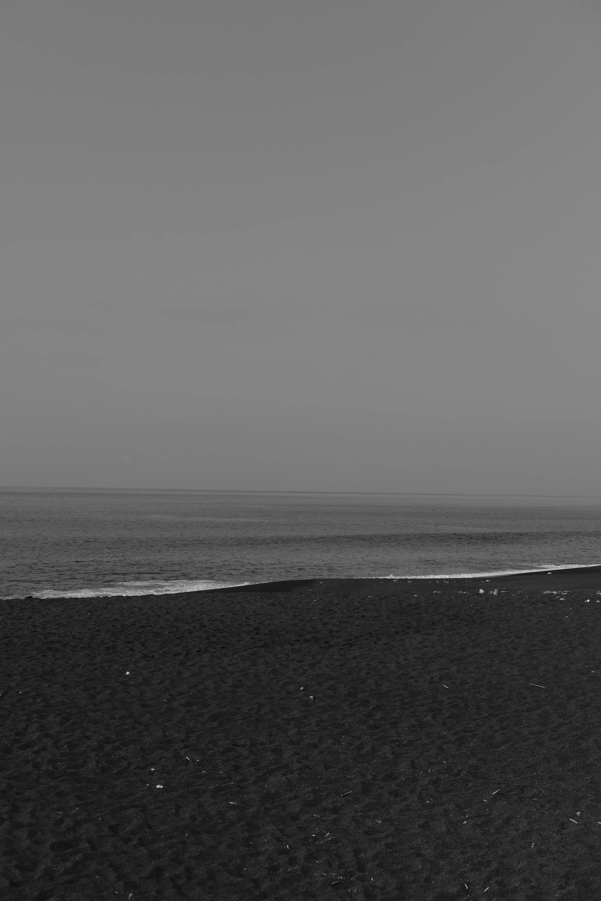 A peaceful black and white panoramic view of a sandy beach meeting the ocean, with soft light reflecting on the water.