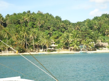 A lush shoreline with abundant palm trees and greenery along the coast, houses or cottages nestled by the trees, and a small outrigger boat moored on tranquil blue waters. The sky is clear with light clouds.