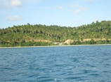 A serene landscape with a tropical coastline bordered by lush, green palm trees. Gentle blue ocean waves meet a sandy shoreline, with a clear sky overhead.