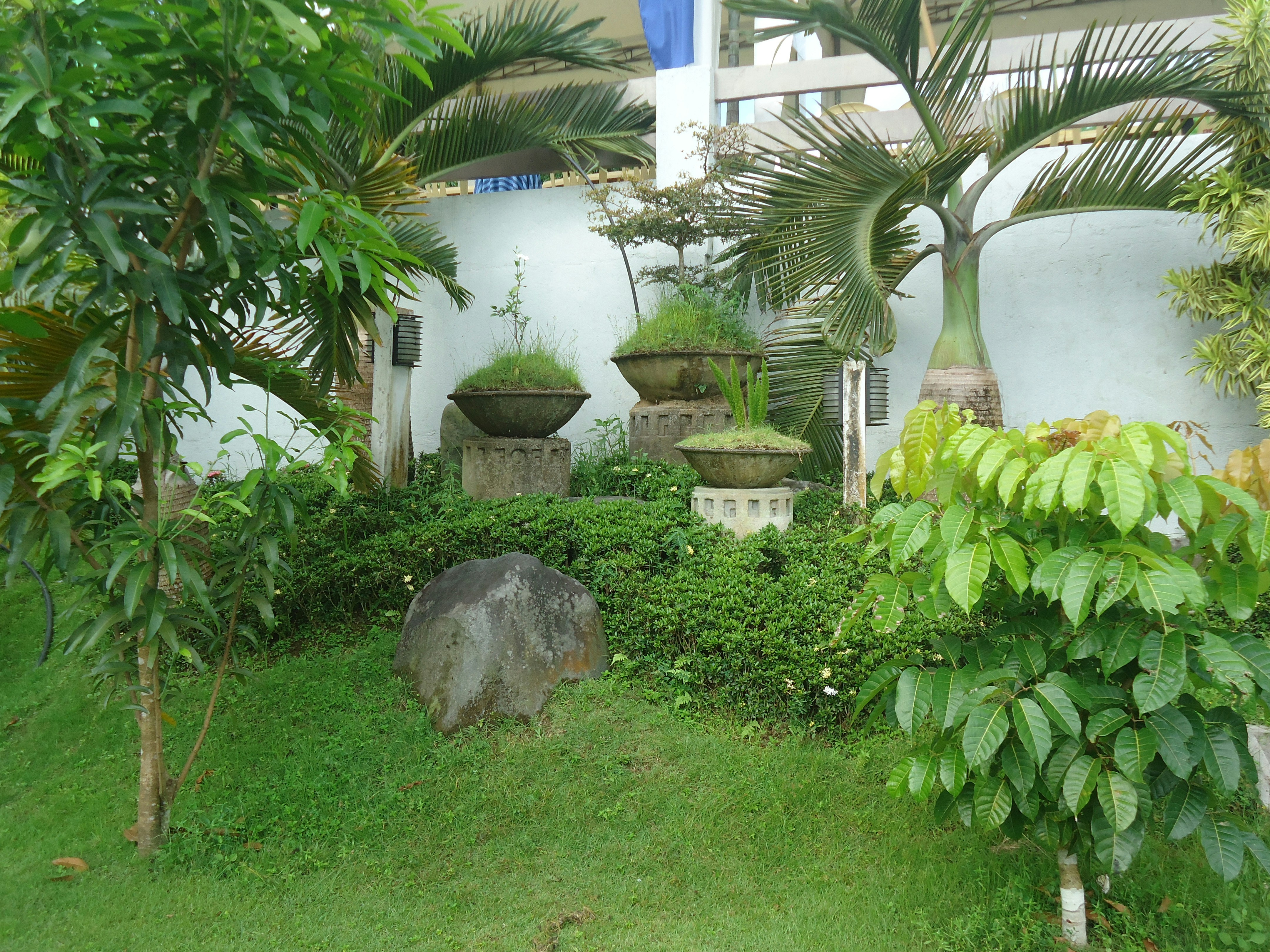 Gotowy schemat ogrodu